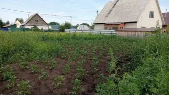 Земельный участок 650 кв.м и дом 22,3 кв.м Новосибирская область Тогучинский район город Тогучин улица Майская дом 43 Кадастровый номер участка 54:24:010121:37 кадастровый номер дома 54:24:010121:193