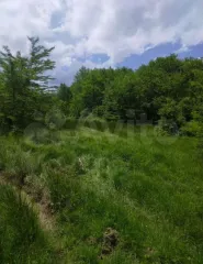 Земельный участок 854 кв.м. Кадастровый номер: 23:03:0000000:1359. Право собственности. Площадь: 854 +/- 10.23 кв.м. Разрешенное использование: для ведения личного подсобного хозяйства. Дата государственной регистрации права: 17.09.2020. Адрес: Краснодарский край, Белоглинский район, Успенское с/п…