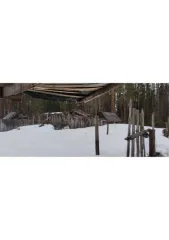 1/2 Доли квартиры, 38,5 кв.м, Пермский край. Кадастровый номер: 59:37:0770101:394, адрес (местонахождение): Российская Федерация, край Пермский, г.о. город Березники, п Вогулка, ул Центральная, д 62, кв. 1.