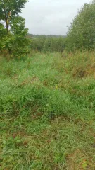 Здание 8 кв.м и земельный участок 800 кв.м в Калужской области, Боровский район, деревня Шемякино. Участок для ведения личного подсобного хозяйства, площадь 800 +/-12 кв.м, кадастровый номер 40:03:050801:578. Нежилое здание площадью 8 кв. м, кадастровый номер 40:03:050801:779. Доля в праве…