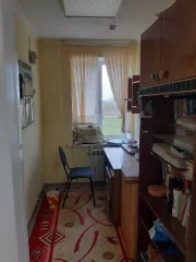 Жилой дом, назначение – жилой дом, кадастровый номер 57:18:0370101:187, адрес (местонахождение) объекта: Орловская область, р-н Покровский, д Даниловка; с земельным участком, категория земель: земли населённых пунктов, вид разрешенного использования: Для обслуживания здания и территории, общая…
