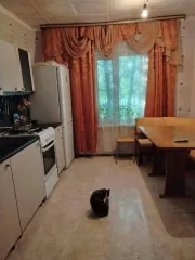 Жилой дом 70,9 кв.м и земельный участок 2450 кв.м, доли 1/4, Алтайский край. Жилой дом, площадь 70,9 кв.м., адрес (местонахождение): Россия, Алтайский край, р-н. Краснощёковский, с. Харлово, ул. Центральная, д. 26, кадастровый (условный) номер: 22:21:010028:197. Находится в долевой собственности…