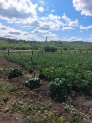 Жилой дом 44.4 кв.м с участком 1845 кв.м, Забайкальский край. Назначение: жилое, 1 этаж. Кадастровый номер дома: 75:24:080102:324, площадь 44.4 кв.м. Расположен по адресу: Забайкальский край, Шилкинский район, с. Богомягково, ул. Центральная, д.1. Земельный участок: категория земель населенных…