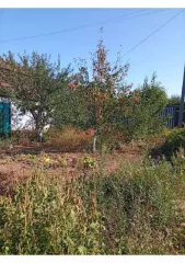 Здание 25 кв.м. и земельный участок 400 кв.м. в Саратовской обл. Нежилое помещение (здание), площадь: 25кв.м., кадастровый номер: 64:38:032101:324, земельный участок, площадь: 400кв.м., кадастровый номер: 64:38:032101:190, категория земель: земли сельскохозяйственного назначения, вид разрешенного…