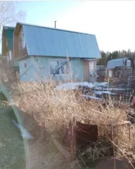 2/3 доли в праве общей долевой собственности на нежилое здание, кадастровый номер 18:05:014007:409, расположенное по адресу: Россия, Удмуртская Республика, Глазовский район, территория СНТ Любитель, дом 27, площадью 16 кв.м. Здание находится на земельном участке с кадастровым номером…