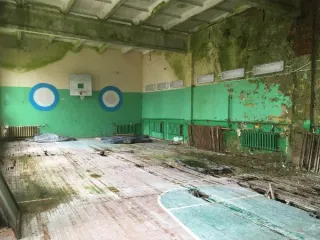 Нежилое здание бывшая школа 836.7 кв.м и земельный участок 9355 кв.м Псковская область Нежилое здание (здание бывшей МБОУ "Рубиловская основная общеобразовательная школа") Нежилое здание (бывшая школа) расположенное по адресу: Псковская область, Пушкиногорский муниципальный округ, д. Рубилово, д…