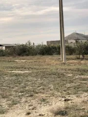 земельный участок, площадь 717 +/  9 кв.м., кадастровый  условный  номер: 05:50:000003:687 земельный участок, площадь 717 +/  9 кв.м., кадастровый  условный  номер: 05:50:000003:687, республика дагестан, р н кумторкалинский, с.темиргое, ул алиева. площадь: 717 +/  9. виды разрешенного использования…