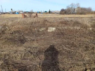 Земельный участок площадью 1400 кв.м, расположенный по адресу: Курганская область, Далматовский район, с. Новопетропавловское, ул. Советская, д. 25. Кадастровый номер: 45:04:040302:6. Продается 1/2 доля в праве собственности. На участке находится незарегистрированное строение (кад. номер…