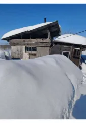 1/4 доли дома и участка, Новосибирская обл., Черепановский р-н. Жилой дом с кадастровым номером: 54:28:043201:66, расположенный по адресу: обл. Новосибирская, р-н Черепановский, п. Запрудный, ул. Советская, д. 24. Площадь 55. Земельный участок с кадастровым номером: 54:28:043201:51, расположенный…