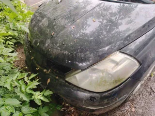 Nissan Tiida 2008 года, Ниссан Тиида 1.6 Elegance. Государственный регистрационный номер Н991ХР190, VIN 3N1FCAC11UL453582. Номер двигателя 032774В, объем 1598 см³, черный цвет, снаряженная масса 1300 кг.