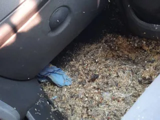 Renault Logan 2011 года, 75 л.с. Легковой автомобиль, марка: Renault, модель: Logan, год изготовления: 2011, цвет: белый, VIN: Х7LLSRВ2НВН449525, ПТС: 77 НК 688767, госномер: С056ТТ36, модель двигателя: K7JA710, номер двигателя: UJ43519, мощность: 75 л.с. (55 кВт), объем двигателя: 1390 куб. см…