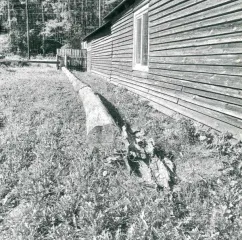 Сосна 6.3 м3. 2 хлыста дерева породы "сосна". Срублен предположительно январь 2024 года. Хранился на открытой площадке, почернел, кора отслаивается. Находится Красноярский край, Большемуртинский район, с. Юксеево, на данный момент состояние ухудшилось.