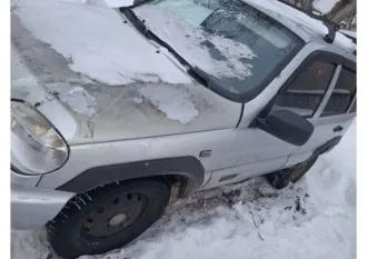 Chevrolet Niva 2004 года, 79 л.с., 273382 км, VIN: X9L21230040044053, гос. рег. номер: В916УР716.