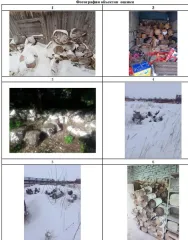 ВАЗ 2106 г/н Р519АХ22, ВАЗ 2121 г/н Н692НВ22, ГАЗ 3110 г/н О943МВ22, ВАЗ 21043 г/н А622РК22, Москвич 21412-01 г/н В857ВУ122, Renault Logan г/н А827ХН, ВАЗ 21093 г/н М926ХТ22, ВАЗ 210930 г/н А863ОМ122, ВАЗ 2121 без г/н, ВАЗ 21213 г/н Е488МТ22, ВАЗ 21102 г/н Т437РТ, ВАЗ 2101 г/н Е250ОК…