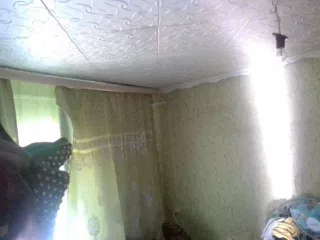 дом и земельный участок по адресу: Забайкальский край, р-н Борзинский, г. Борзя, ул. Блюхе дом и земельный участок по адресу: Забайкальский край, р-н Борзинский,
г. Борзя, ул. Блюхера, дом 26, кадастровый номер: 75:04:160112:161 и 75:04:160112:13,
соответственно.