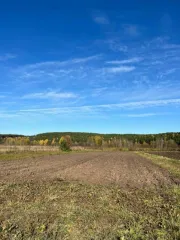 Земельный участок площадью 1000 +/- 6,38 кв.м. Назначение: земли населенных пунктов. Адрес: Россия, Пермский край, муниципальный округ Кунгурский, село Жилино, улица Трактовая, з/у 6Е. Кадастровый номер: 59:24:0310101:61. Находится в совместной собственности.