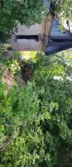 Здание контрольно-технического пункта 27,6 кв.м и земельный участок 1048 кв.м Рязанская область Здание контрольно-технического пункта назначение: нежилое, количество этажей: 1, в том числе подземных 0, с кадастровым номером 62:28:0010101:113, площадь 27,6 кв.м., адрес (местонахождение) объекта…