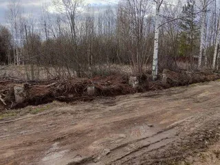 Земельный участок 1128 кв.м, Кировская область, Оричевский район, площадь: 1 128кв.м., адрес (местонахождение): Кировская обл, р-н Оричевский, п Торфяной, кадастровый номер: 43:24:030308:708, категория земель: Земли населенных пунктов, вид разрешённого использования: Для индивидуальной жилой…