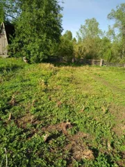 Земельный участок, площадь 3777 +/- 22 кв.м., кадастровый (условный) номер: 22:33:051401:283. Принадлежит должнику на праве собственности.
Адрес (местонахождение): Россия, Алтайский край, Первомайский район, п.Нижняя Петровка, ул.Хохловка 2