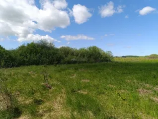 Земельный участок 104 000 +/- 113 кв. м, кадастровый номер 39:03:080821:139, местоположение установлено относительно ориентира, расположенного в границах участка, почтовый адрес ориентира: Калининградская обл., Гурьевский р-н, юго-западнее п. Голубево, с северо-запада от железной дороги. Категория…