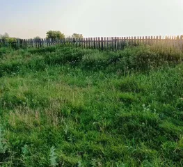 Земельный участок для ведения личного подсобного хозяйства. Кадастровый номер: 02:53:100113:89. Местоположение установлено относительно ориентира, расположенного в границах участка. Почтовый адрес ориентира: Республика Башкортостан, р-н. Шаранский, с/с. Шаранский, с. Шаран, ул. Заречная, д. 1 Г…