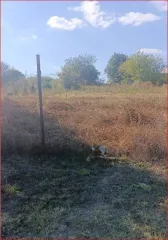 Земельный участок 1000 кв.м в Краснодарском крае. Площадь: 1000 кв.м, кадастровый номер: 23:15:0823001:51. Категория земель: земли населенных пунктов. Вид разрешенного использования: для ведения личного подсобного хозяйства. Адрес местонахождения: Краснодарский край, Крымский район, Молдаванский…