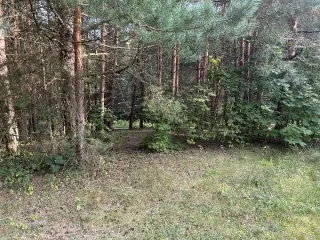 Земельный участок КН 50:36:0020511:1084 1348 кв.м Московская область, площадь земельного участка: 1348, кадастровый номер земельного участка: 50:36:0020511:1084, основной вид разрешенного использования: 2.1