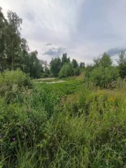1/4 доля земельного участка в Московской обл. еще ¼ земельного участка, расположенного по адресу: 143103, Московская область, р н. Одинцовский, д. Болтино, 16, площадью 1000 кв.м. Кадастровый номер: 50:20:0100912:932.
