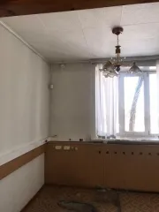 Земельный участок с кадастровым номером 54:04:010109:21, площадью 690+/-18 кв.м., РНФИ:П11550002138, с расположенными на нем объектами: нежилое здание с кадастровым номером:  54:04:010109:116, общей площадью 102,4 кв.м., РНФИ: П12550011240, нежилое здание (гараж) с кадастровым номером: …