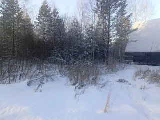 Земельный участок 1082 кв.м. Тюменская область, Нижнетавдинский район, 2,8 км на юго-восток от села Тандашково (деревня Красный Яр, улица Депутатская, №1). Кадастровый номер: 72:12:0602001:989. Категория земель: Земли населенных пунктов, вид разрешенного использования: Для ведения личного…