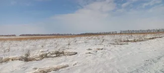 Земельный участок кадастровый номер 24:25:0401004:62 общей площадью 7200 м2 категории земель сельскохозяйственного назначения с разрешенным использованием для ведения личного подсобного хозяйства по адресу местоположение установлено относительно ориентира расположенного в границах участка ориентир…