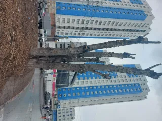 Жилое помещение площадью 122 кв.м, кадастровый номер 54:35:101695:1119, расположенное по адресу: г. Новосибирск, ул. Державина, д. 77/2, кв. 107, 108. Имущество находится в залоге у ПАО Банк "FK Otkrytie" ИНН: 7706092528 (правопреемник - АО «БМ-Банк» ИНН: 7702000406) и АО "Korporatsiya "MSP" ИНН…