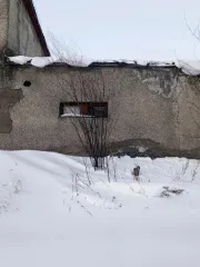 Нежилое помещение 76.9 кв.м Магаданская область Нежилое помещение с кадастровым номером 49:06:000000:872, расположенное в Магаданской области, Тенькинский район, пгт. Усть-Омчуг, ул. Заречная Недвижимость Вид ограничений и обременений: Отсутствуют Кадастровый номер объекта недвижимости (здания…