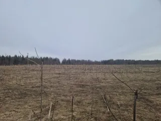 Земельный участок с кадастровым номером 69:10:0000037:1691, площадью 1 077 кв.м., местоположение: Тверская область, Калининский район, Верхневолжское с/п, с.Петровское.