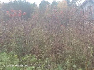 Жилой дом площадью 12,8 кв.м и земельный участок площадью 512 кв.м. Кадастровый номер дома: 66:27:1105001:330. Кадастровый номер участка: 66:27:1105001:23. Категория земель: земли населенных пунктов. Вид разрешенного использования: для садоводства.