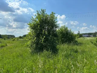 Земельный участок 1062 кв.м, Московская область, кадастровый номер 50:35:0050123:799, площадь 1062, основной вид разрешенного использования 2.1.