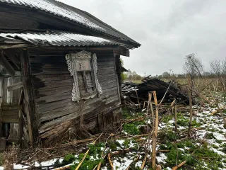 Земельный участок для ЛПХ и ИЖС, площадь 4000 кв.м., адрес: Россия, обл. Тверская, р-н Кашинский, д. Раднево, дом 22, кадастровый номер: 69:12:0200301:51. Вид права: собственность.