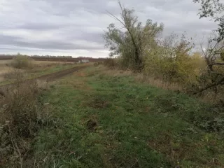 Право аренды земельного участка с кадастровым номером 64:19:080104:18 площадью 160 271 кв. м, расположенного по адресу: Саратовская область, Лысогорский район, в 1 км 375 м севернее села Чадаевка.