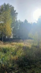 Земельный участок КН 50:24:0050702:712, 1500 кв.м. Площадь земельного участка: 1500. Кадастровый номер земельного участка: 50:24:0050702:712. Основной вид разрешенного использования: 2.1