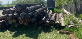 Сосна, 77 бревен, 39.6 м³. Красноярский край, село Краснотуранское. 58 бревен породы сосна длиной 6 м (32.2 м³), 19 бревен породы сосна длиной 4 м (7.4 м³). Срублен предположительно конец 2022 года - начало 2023 года. Хранился на открытой площадке, почернел, кора отслаивается. На данный момент…