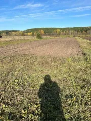 Земельный участок площадью 1000 +/- 6,38 кв.м. Назначение: земли населенных пунктов. Адрес: Россия, Пермский край, муниципальный округ Кунгурский, село Жилино, улица Трактовая, з/у 6Е. Кадастровый номер: 59:24:0310101:61. Находится в совместной собственности.