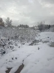 Земельный участок площадью 1500 кв.м с кадастровым номером 54:19:110501:209, расположенный по адресу: Новосибирская область, Новосибирский район, МО Станционный сельсовет, поселок Ленинский, улица Центральная, дом 45. Объект находится в залоге у ПАО Сбербанк.