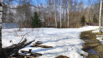 Земельный участок 1238 кв.м, Московская область, кадастровый номер 50:28:0090101:710. Основной вид разрешенного использования: 2.1.