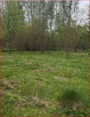 Земельный участок 902 кв.м в Тверской области, Калининский район, сельское поселение Никулинское, СНТ "Надежда", участок 7. Кадастровый номер: 69:10:0244301:7. Вид собственности: индивидуальная.