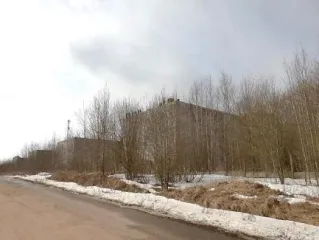 Земельный участок, кадастровый номер 47:14:1302001:23, площадь 27108 кв.м., категория земель: земли сельскохозяйственного назначения, адрес: Ленинградская обл., Ломоносовский р-н, МО «Русско-Высоцкое сельское поселение», уч.25