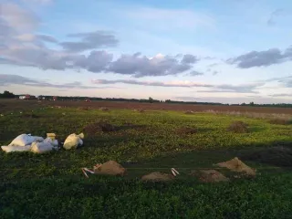 Земельные участки в Новосибирской области, 1079 кв.м, садоводство земельный участок в Новосибирской обл., 1079+/-11 кв.м еще земельный участок в Новосибирской обл., 1079+/-11 кв.м еще земельный участок, вид разрешенного использования объекта недвижимости: ведение садоводства. Площадь: 1079+/-11…