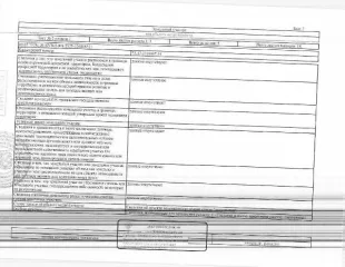 Земельный участок 903 кв.м Тюменская область, кадастровый номер: 72:17:2316007:44, р-н Тюменский, СНТ "Горошинка-3", ул. Яблочная, участок № 42, рег.№ 72-010308-ГМУ; Земли сельскохозяйственного назначения, для садоводства и огородничества, вид разрешённого использования земельного участка: 13.2