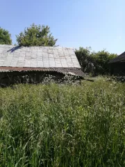 Жилой дом, площадь 46.5 кв.м., кадастровый номер 32:03:0050601:100 и 
Земельный участок, кадастровый номер: 32:03:0050601:34, площадь 3200 кв.м., назначение: ЗЕМЛИ НАСЕЛЕННЫХ ПУНКТОВ, Находится в долевой собственности, размер доли: 1/1
Адрес: Россия, 243368, Брянская обл, Выгоничский р-н, , п…