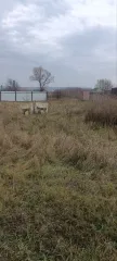 Незавершенное строительство 98,7 кв.м, участок 1005 кв.м, Белгородская область, с. Ильинка. Объект незавершенного строительства, площадью застройки 98,7 кв.м, с кадастровым номером: 31:22:0602011:122 и земельный участок, общей площадью 1005 +/- 11 кв. м, с кадастровым номером 31:22:0602011:92…
