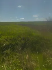 Гидротехническое сооружение, площадь 20632,3 кв.м, Ставропольский край. Назначение — гидротехническое сооружение, кадастровый номер 26:08:070102:131, основная характеристика — площадь 20632,3 кв.м. Адрес: Российская Федерация, Ставропольский край, Петровский муниципальный округ, квартал…